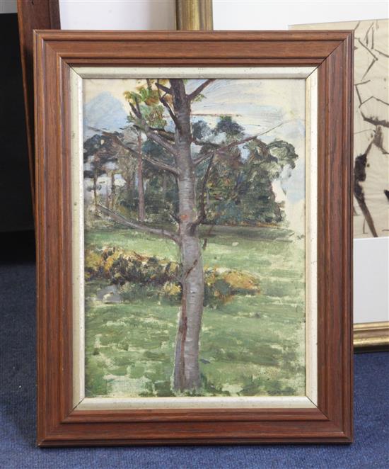 John William Waterhouse RA (1849-1917) Study of a tree 13.75 x 9.75in. Provenance: An Artist Studio Sale Christies 1926 P.598
